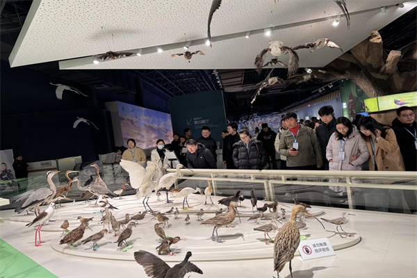 黃海濕地博物館實(shí)踐交流11.jpg